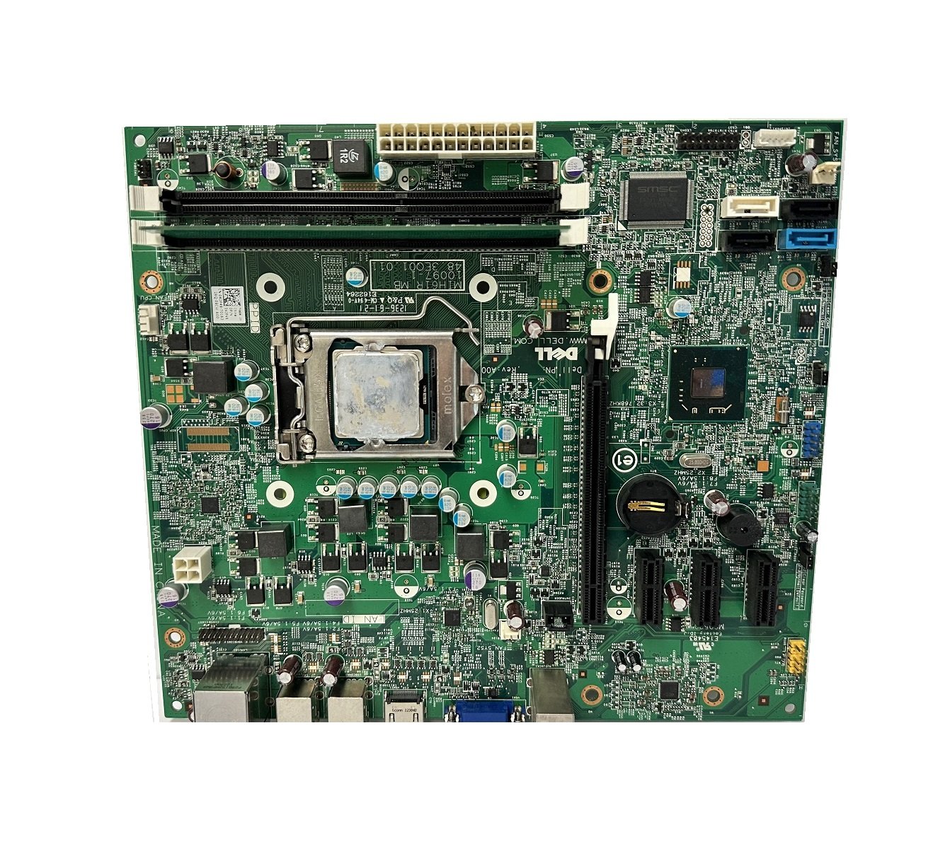 DELL042P49protrait.jpg